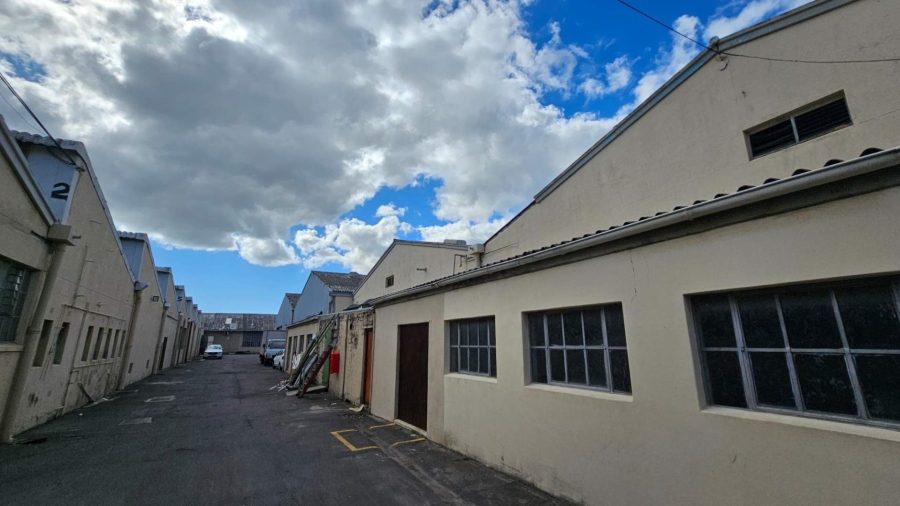 To Let commercial Property for Rent in Epping Industrial Western Cape